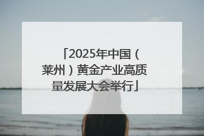 2025年中国（莱州）黄金产业高质量发展大会举行