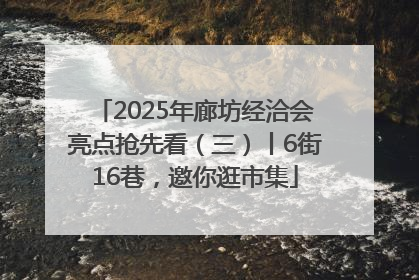 2025年廊坊经洽会亮点抢先看（三）丨6街16巷，邀你逛市集