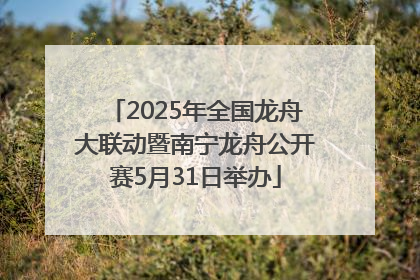 2025年全国龙舟大联动暨南宁龙舟公开赛5月31日举办