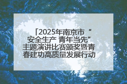 2025年南京市“安全生产 青年当先”主题演讲比赛颁奖暨青春建功高质量发展行动出征仪式举行