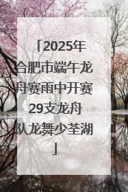 2025年合肥市端午龙舟赛雨中开赛 29支龙舟队龙舞少荃湖