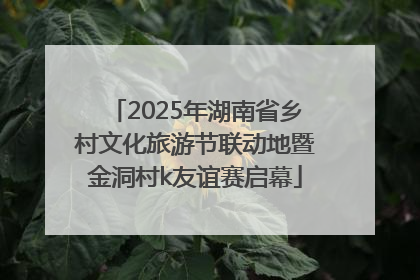 2025年湖南省乡村文化旅游节联动地暨金洞村k友谊赛启幕