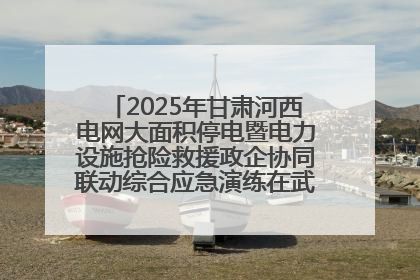 2025年甘肃河西电网大面积停电暨电力设施抢险救援政企协同联动综合应急演练在武威成功举行