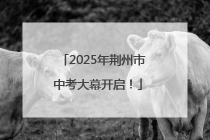 2025年荆州市中考大幕开启！