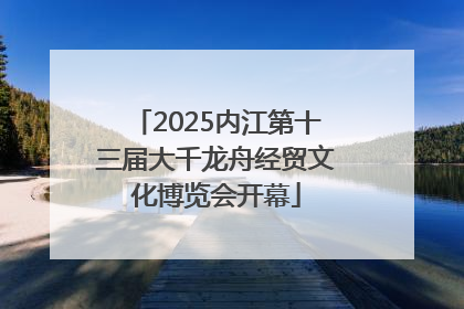 2025内江第十三届大千龙舟经贸文化博览会开幕