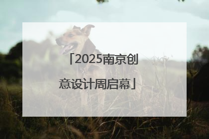 2025南京创意设计周启幕