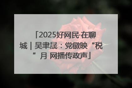 2025好网民·在聊城｜吴聿晟：党徽映“税”月 网播传政声
