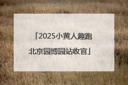 2025小黄人趣跑北京园博园站收官