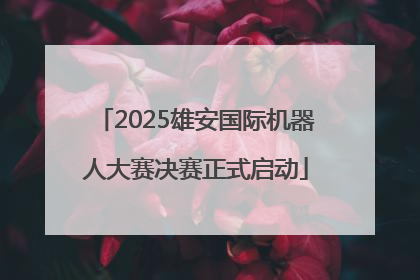 2025雄安国际机器人大赛决赛正式启动