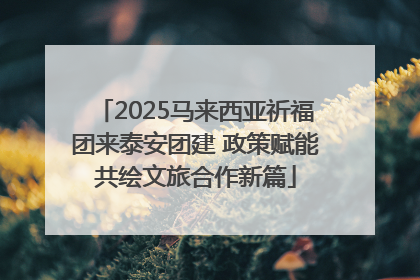 2025马来西亚祈福团来泰安团建 政策赋能共绘文旅合作新篇