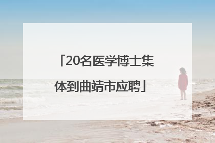 20名医学博士集体到曲靖市应聘