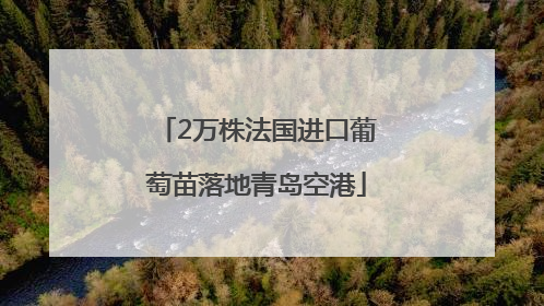 2万株法国进口葡萄苗落地青岛空港