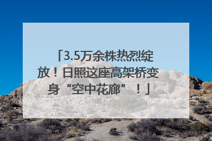 3.5万余株热烈绽放！日照这座高架桥变身“空中花廊”！