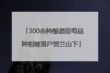 300余种酿酒葡萄品种相继落户贺兰山下