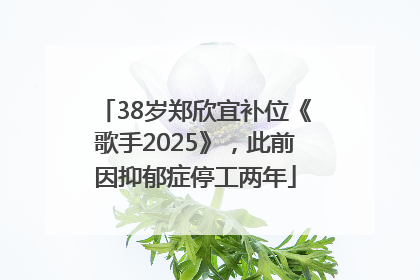 38岁郑欣宜补位《歌手2025》，此前因抑郁症停工两年