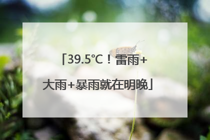 39.5℃！雷雨+大雨+暴雨就在明晚