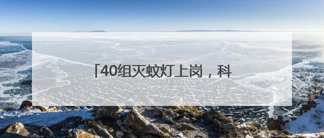 40组灭蚊灯上岗，科技助力居民安然度夏