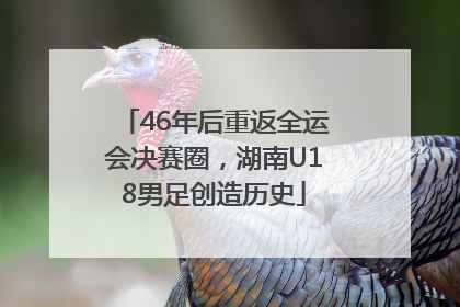 46年后重返全运会决赛圈，湖南U18男足创造历史