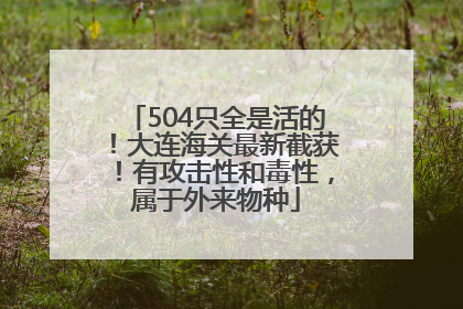 504只全是活的！大连海关最新截获！有攻击性和毒性，属于外来物种