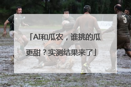 AI和瓜农，谁挑的瓜更甜？实测结果来了