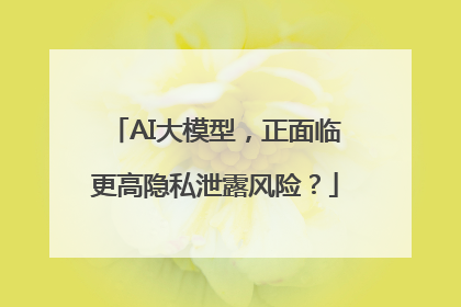 AI大模型，正面临更高隐私泄露风险？