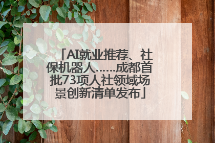 AI就业推荐、社保机器人……成都首批73项人社领域场景创新清单发布