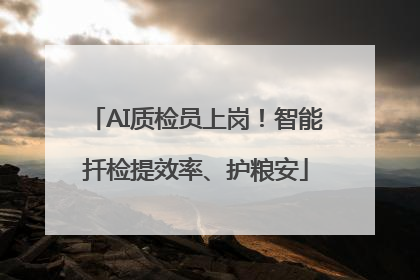 AI质检员上岗！智能扦检提效率、护粮安