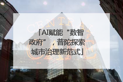AI赋能“数智政府”，普陀探索城市治理新范式