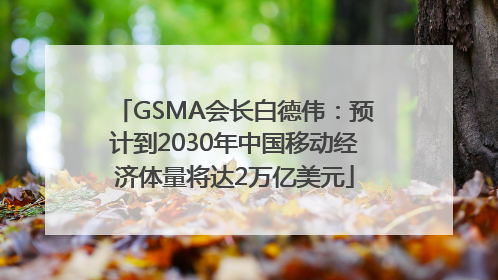 GSMA会长白德伟：预计到2030年中国移动经济体量将达2万亿美元