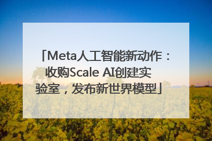 Meta人工智能新动作：收购Scale AI创建实验室，发布新世界模型