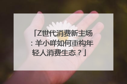 Z世代消费新主场：羊小咩如何重构年轻人消费生态？